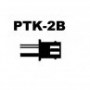 PTK2B 